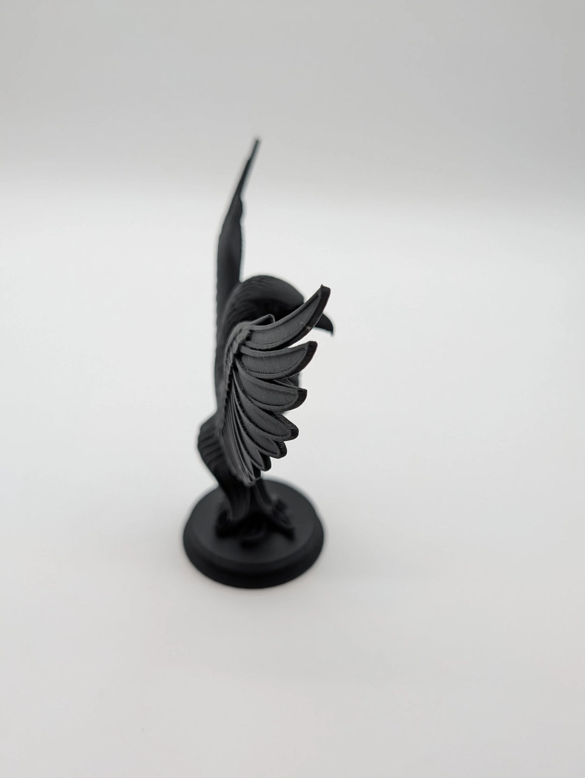 Raven Gothic Home Decor
