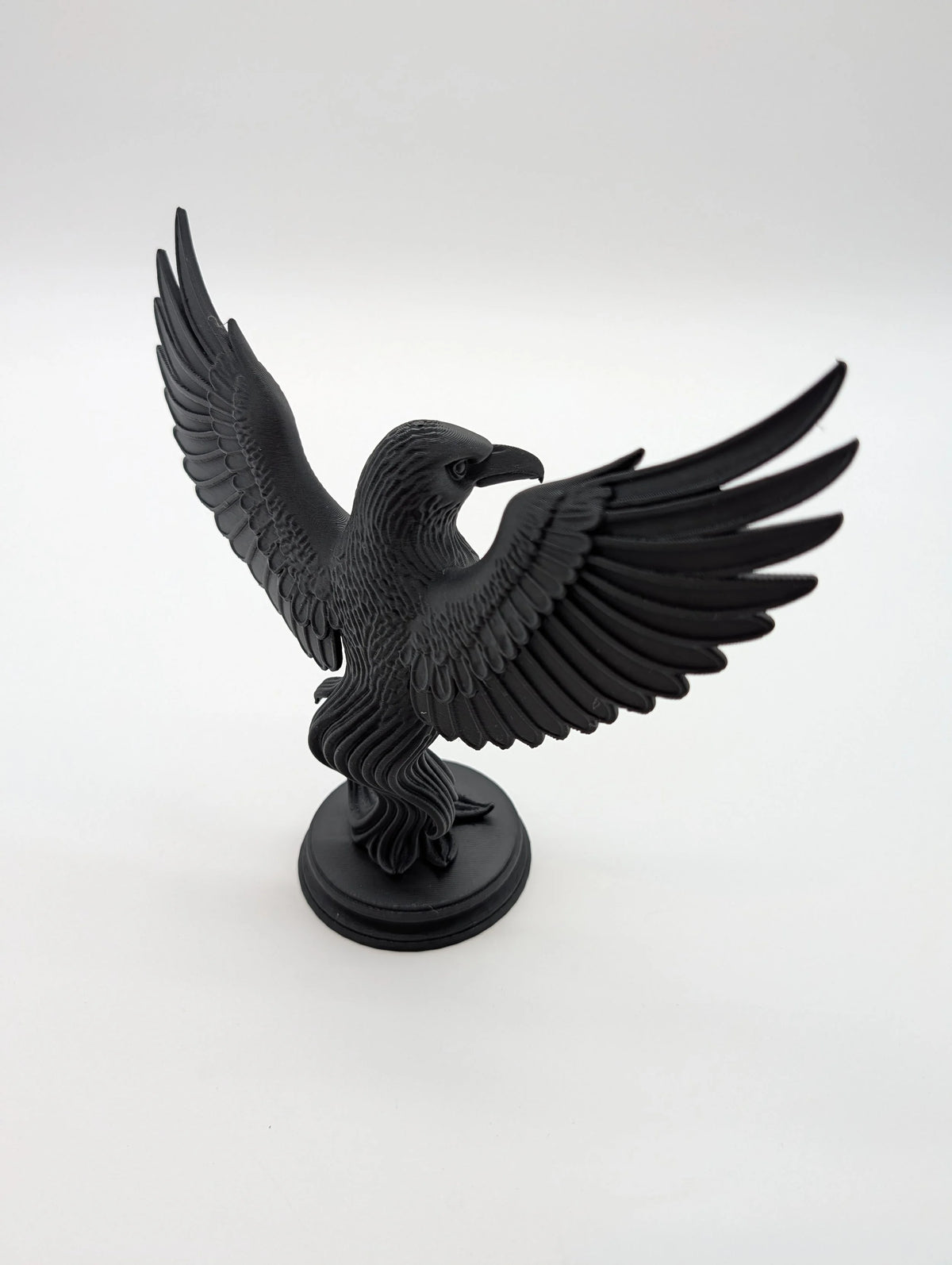 Raven Gothic Home Decor