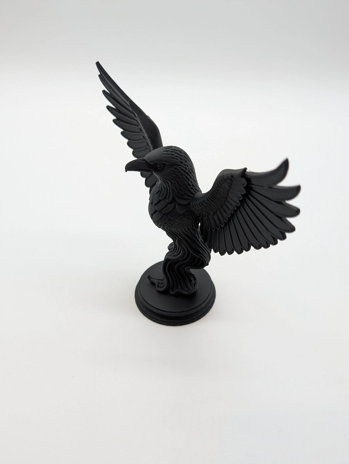 Raven Gothic Home Decor