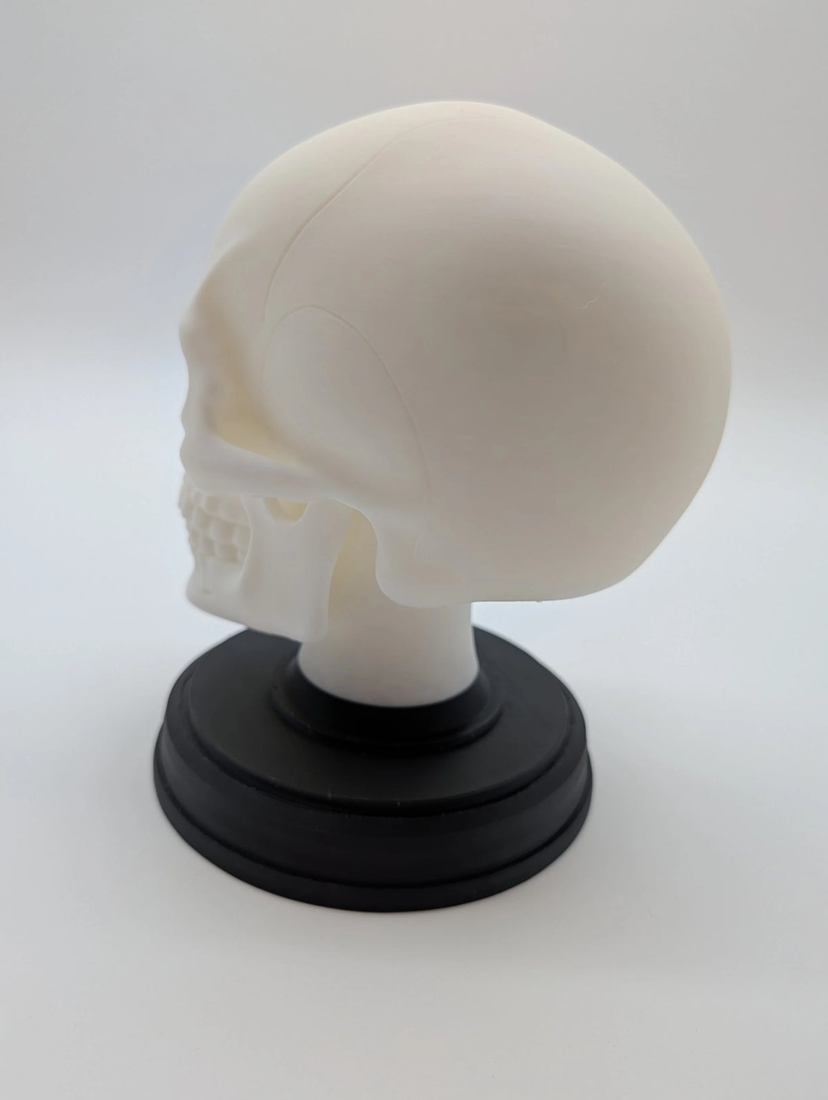 Gothic Human Skeleton with Stand