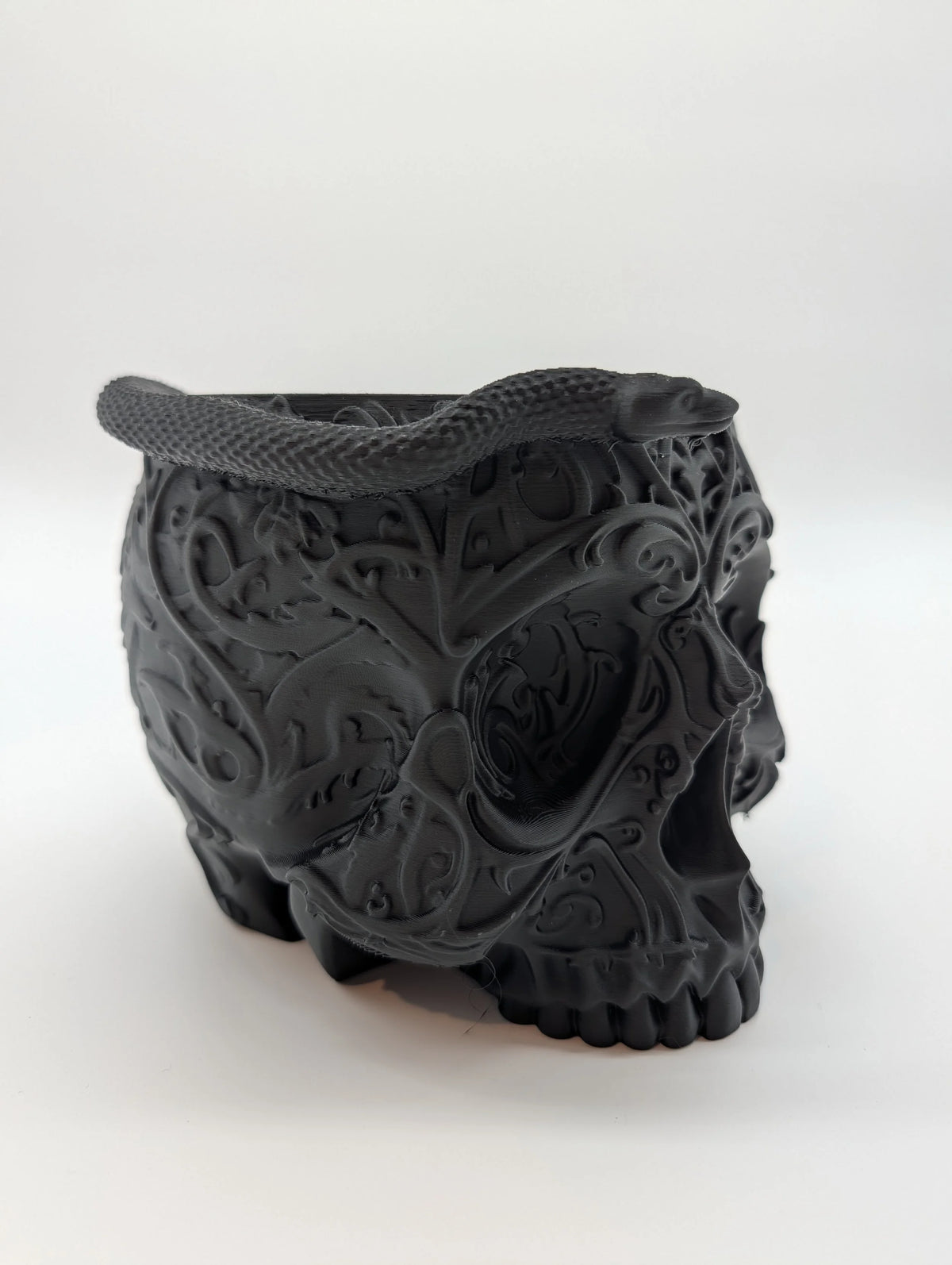 Serpent Skull Planter