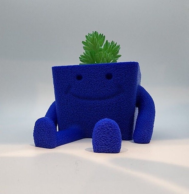 Happy Succulent Planter Pot