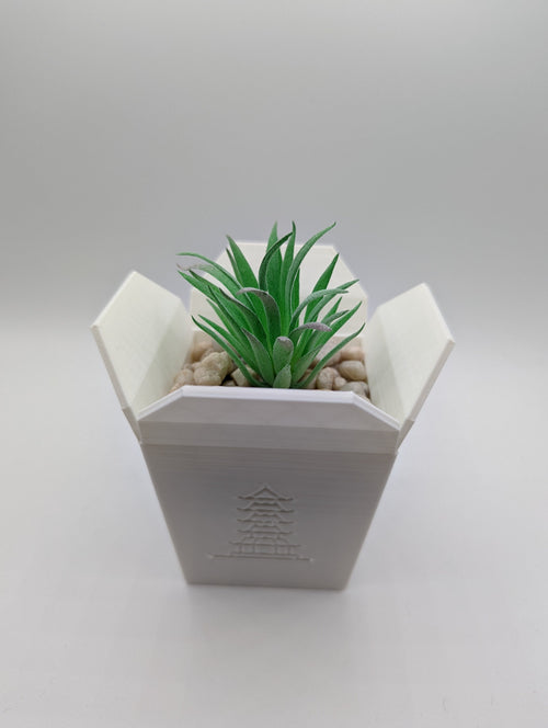 Chinese Take-Out Planter